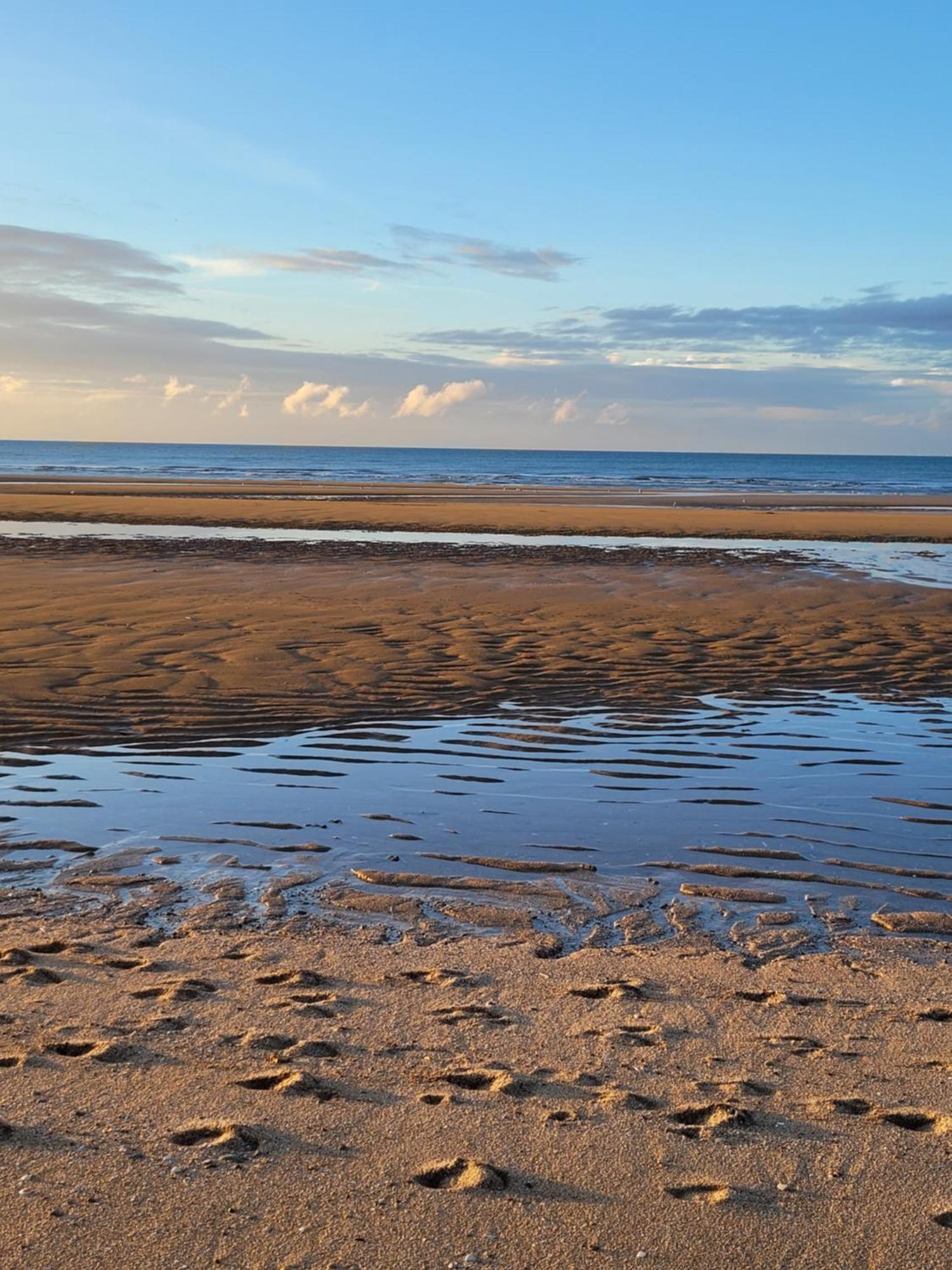 "Mon Evidence!" Magnifique Appartement Vue Mer Et Acces Direct A La Plage Villers-sur-Mer Exterior foto